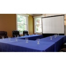 Projector rental.