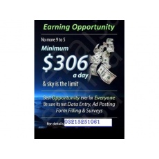 Online jobs.