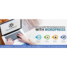 E-commerce website development by se technologies.