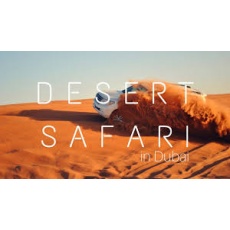 Desert safari deals by dream night tousrism.