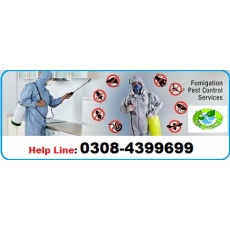 Fumigation, pest control and termite control services..