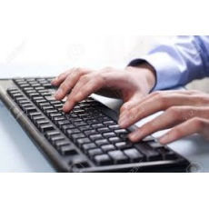 Home based data entry that pays (4776).